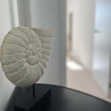 A Estrenar En Cofradia Deluxe * フォス